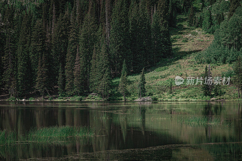 犹他州山区，康涅狄格州。