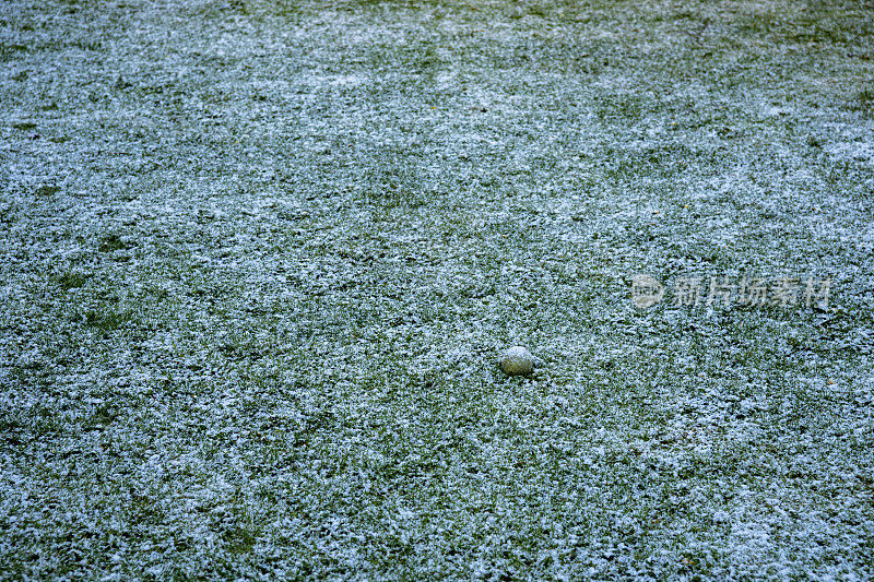 英格兰郊区后花园草坪上的一层小雪