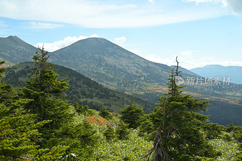 秋景，日本青森八谷田山(10月-2022年)