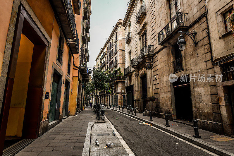 西班牙巴塞罗那中心街道上的鸽子
