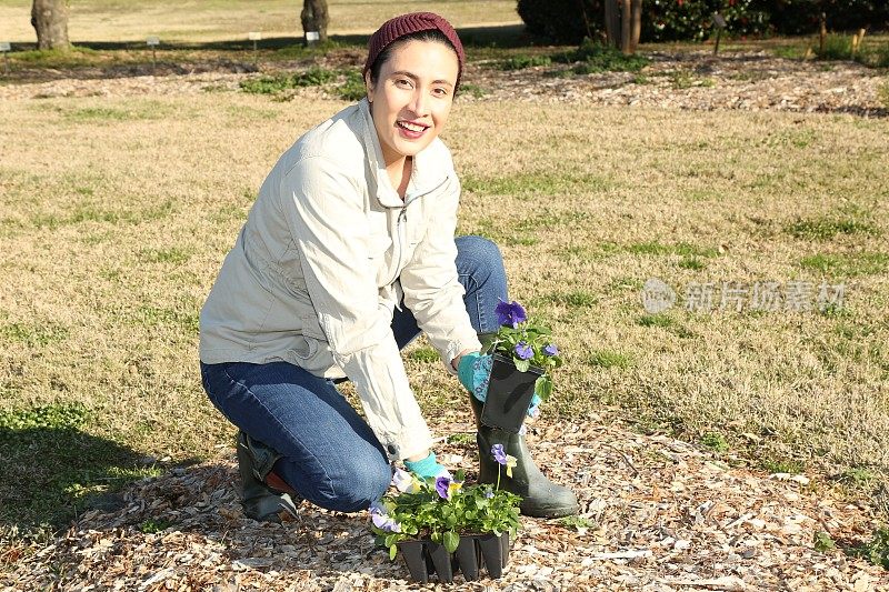 一名妇女通过种植三色堇开始了她的园艺工作