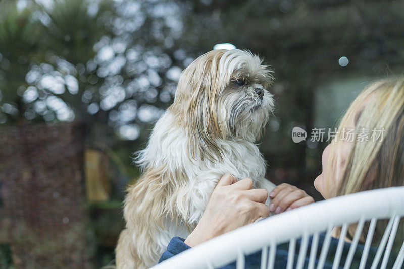 一位拉丁妇女正坐在她家客厅的沙发上，和她的宠物，毛茸茸的小狗一起享受时光