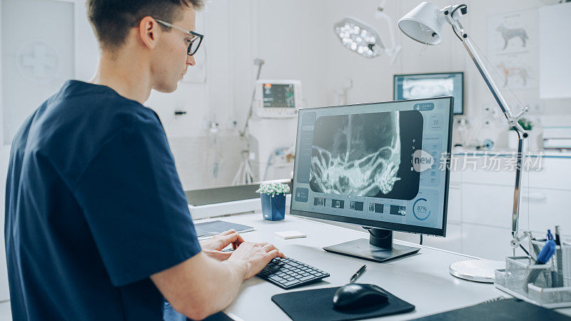 兽医诊所专家在台式电脑上工作，使用软件检查海龟x射线扫描潜在的健康风险