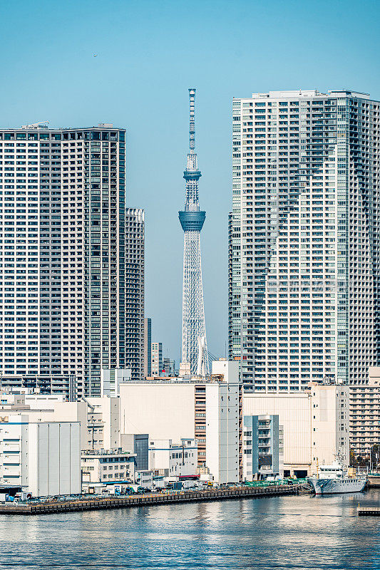 日本台场东京湾的城市天际线