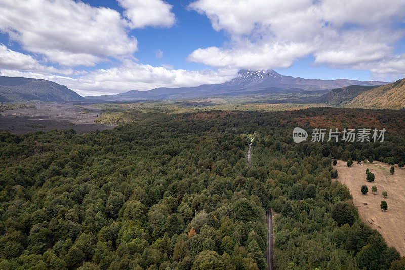 火山脚下的森林