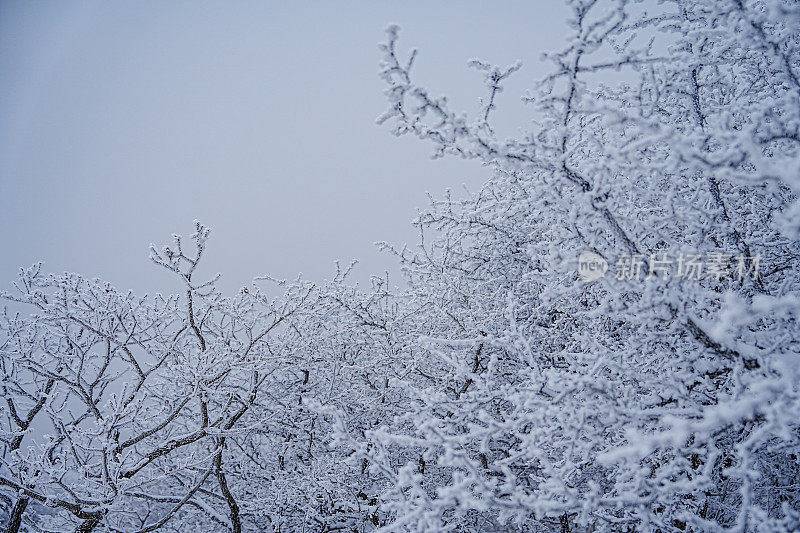 山上的硬霜(雪晶)