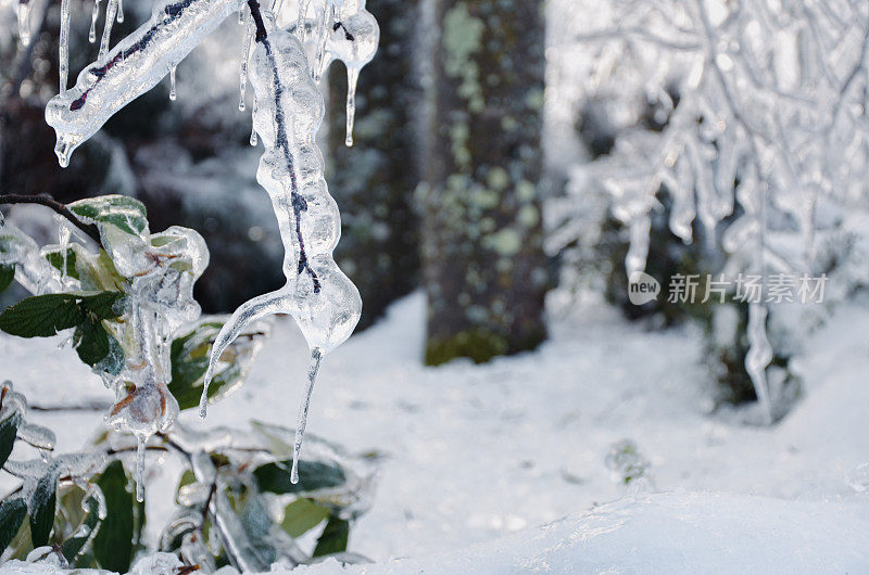 暴风雪是指大量降雪的风暴