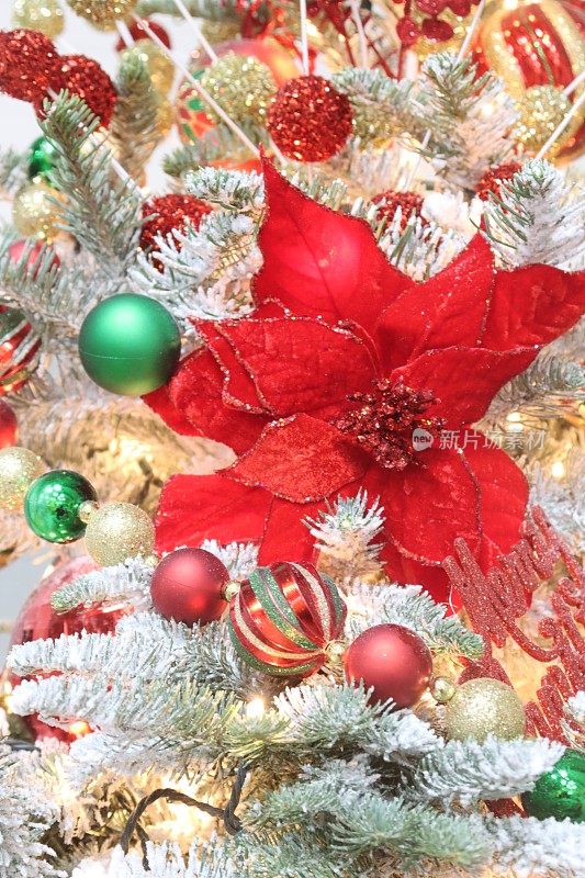 明亮的一品红作为圣诞树的装饰品