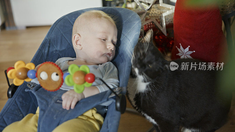 小男孩睡在宠物猫旁边的椅子上