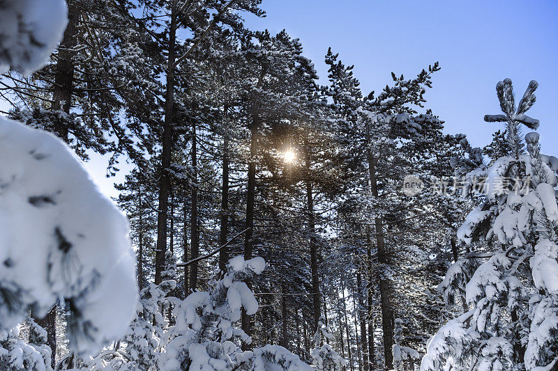 这是在雪地里徒步旅行的好天气