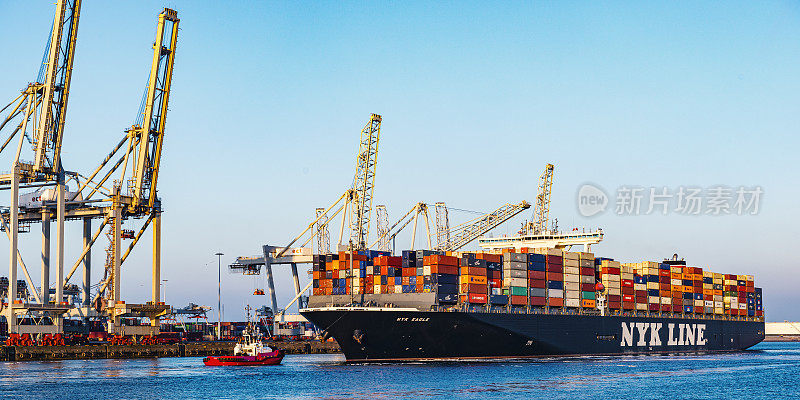 鹿特丹港集装箱码头的货轮
