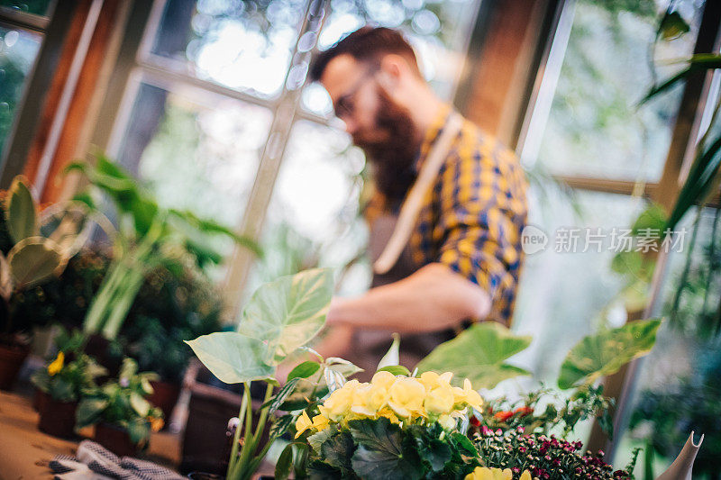 植物和花