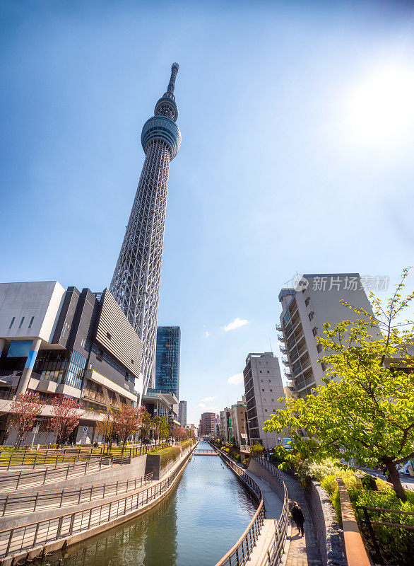 东京天空之树大厦和北宿根河运河