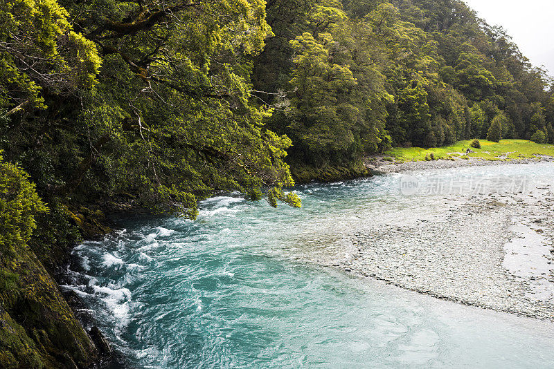 清澈湛蓝的河水流经雨林