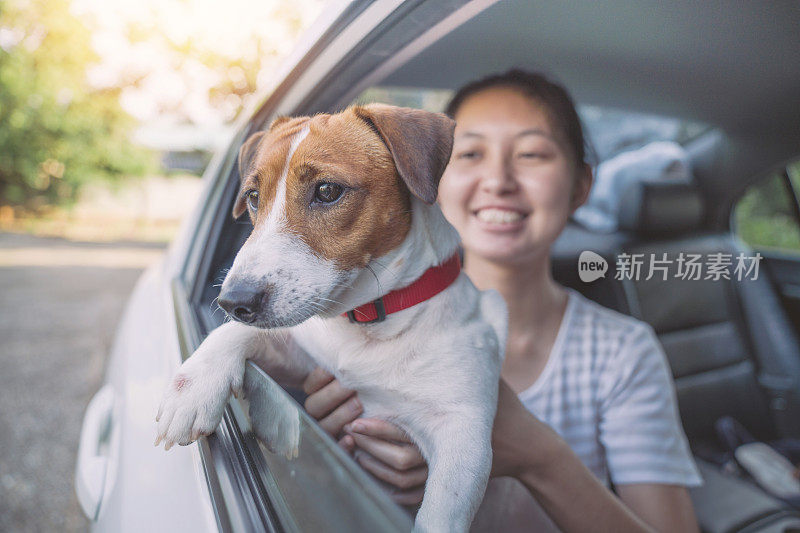 亚洲家庭十几岁的女孩玩好玩的她的宠物杰克罗素梗狗在花园在夏天的早晨