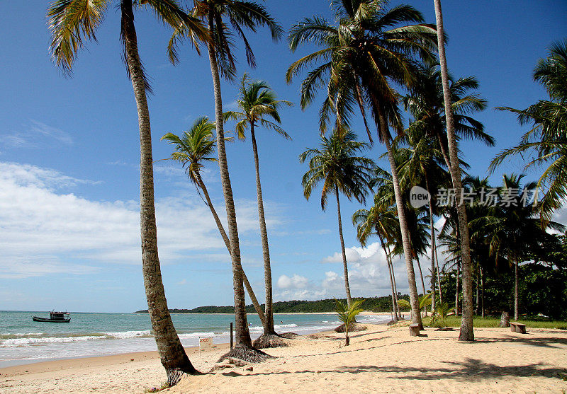 Trancoso海滩在安全港