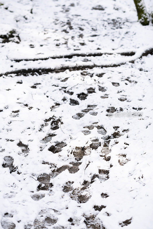 冬末春初降雪后潮湿泥泞的徒步路线