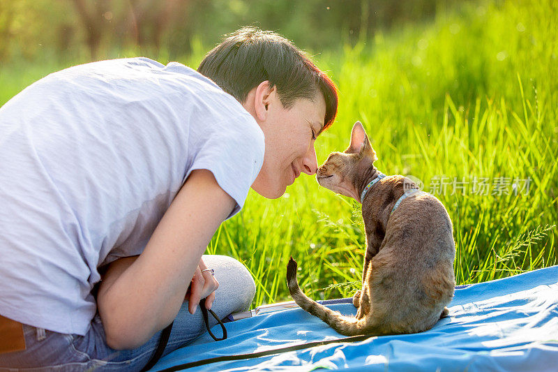 中年妇女与她的德文郡雷克斯小猫在户外公共公园-库存照片