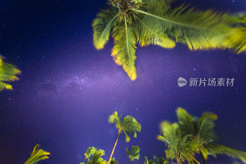 巴西巴伊亚的夜空上的银河和棕榈树-星星景观