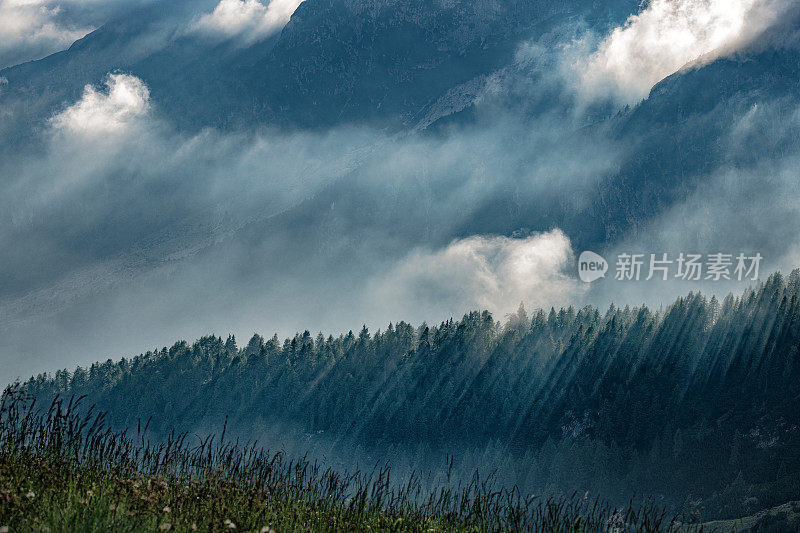 傍晚的雾与阳光在树木繁茂的山，芒加特山，Primorska，朱利安阿尔卑斯，斯洛文尼亚，欧洲