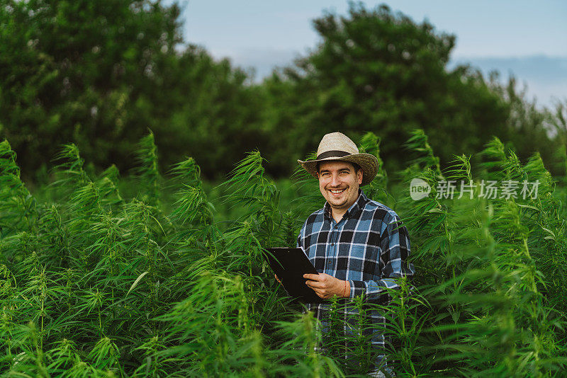 男子采集医用大麻