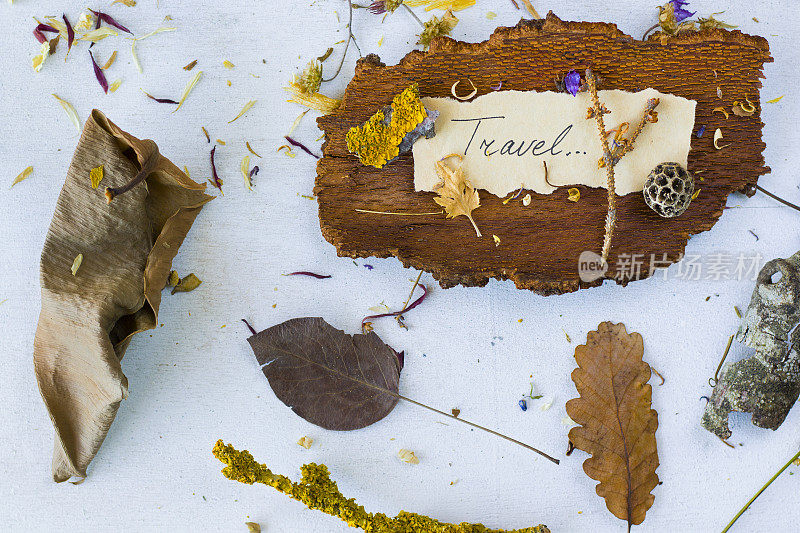 秋韵旅行的回忆，干枯的花草，复制粘贴空间，旧纸上的字句，植物标本馆主题。