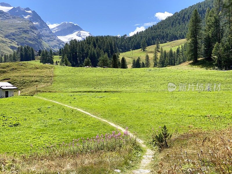 上恩加丁的风景