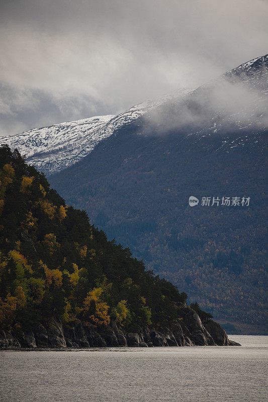 挪威峡湾的冬日气氛:树叶和阴天