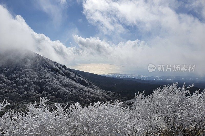 济州岛的第一场雪