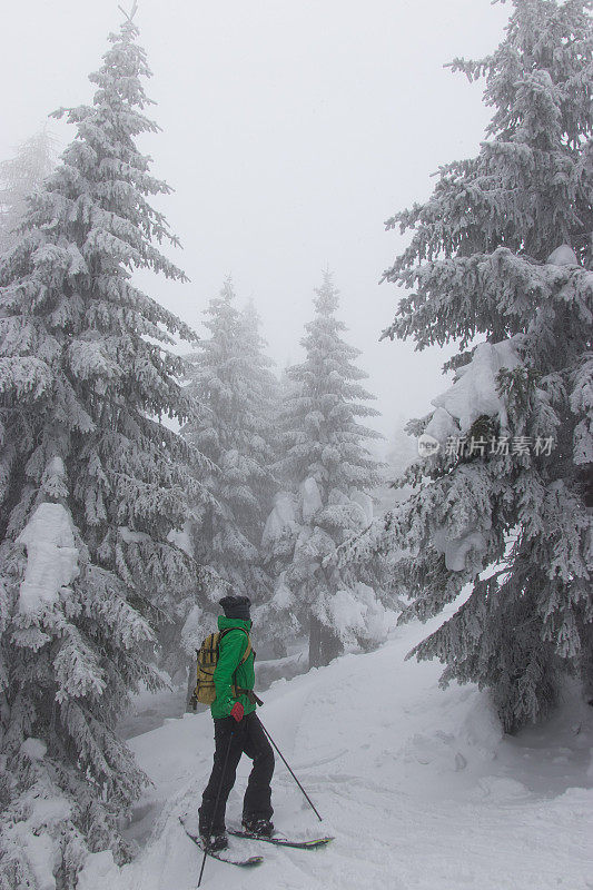 在白雪覆盖的森林里滑雪旅游