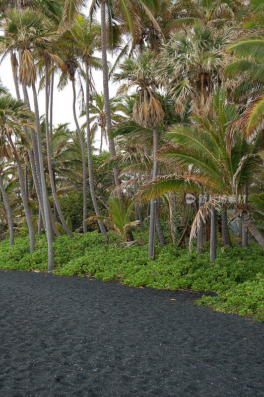 夏威夷大岛