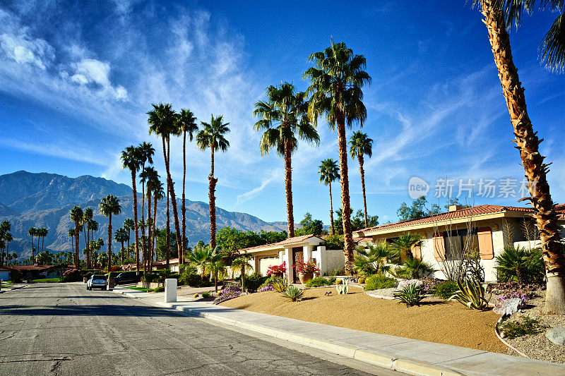 圣哈辛托山，棕榈树，街景和家在棕榈泉，加利福尼亚州，美国