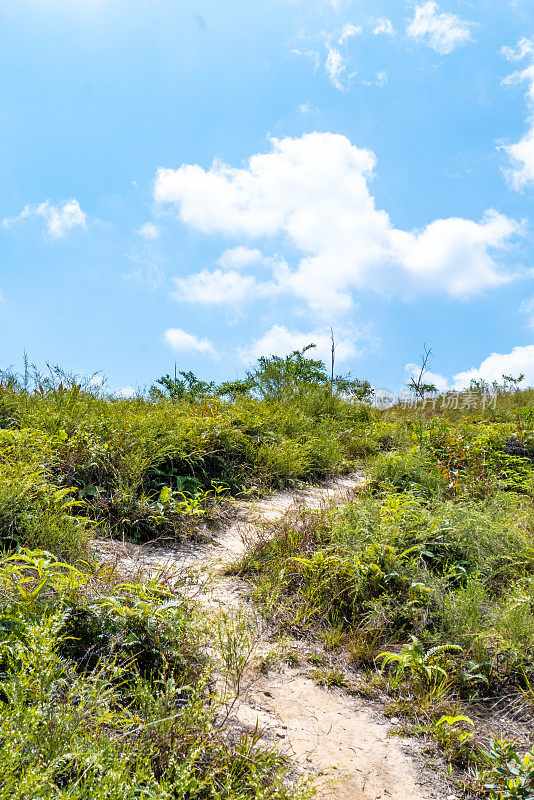 山间小路