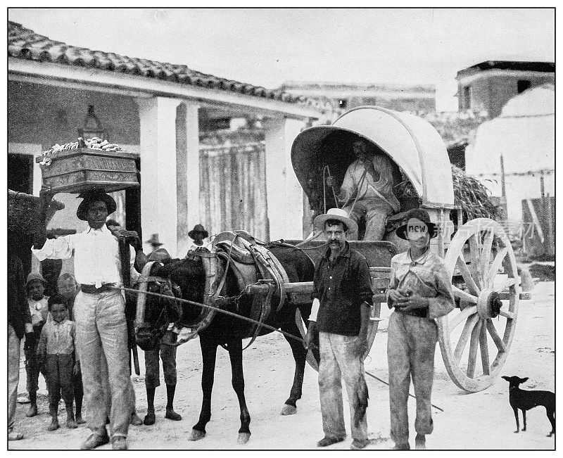 古董黑白照片:古巴比那尔del里约热内卢