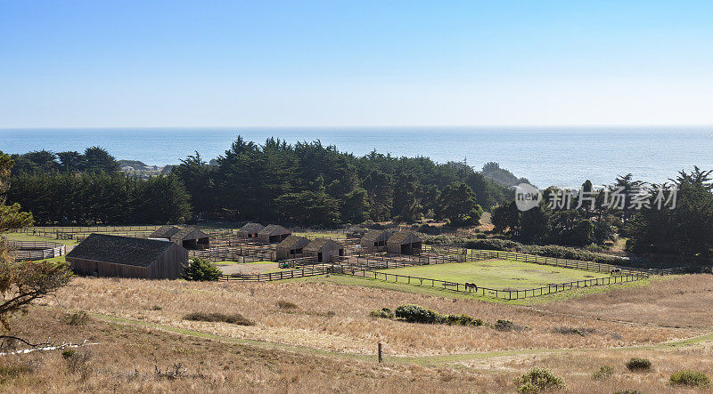 海洋牧场:加利福尼亚北部海岸的马厩