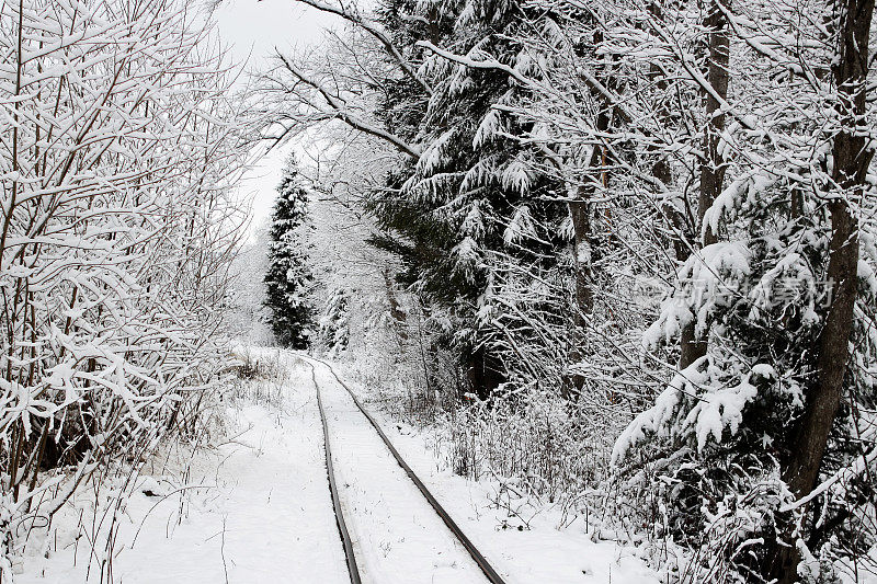 旅行的概念。一列火车在白色的冬季森林中穿行，就像极地快车，户外的仙境