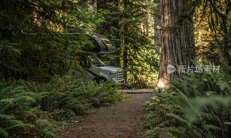 房车露营在加州的红杉森林