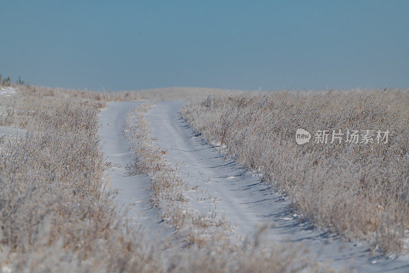 两个车辙轮胎痕迹泥土痕迹覆盖积雪