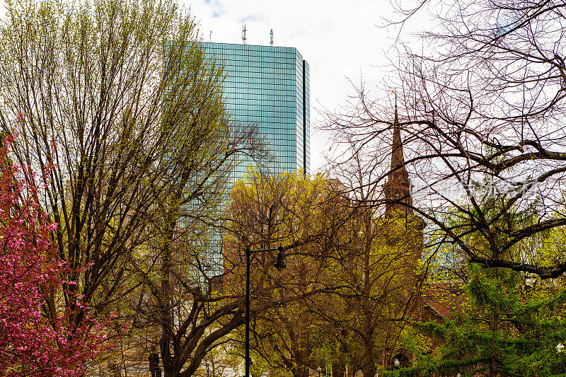 波士顿公共花园-波士顿马萨诸塞州