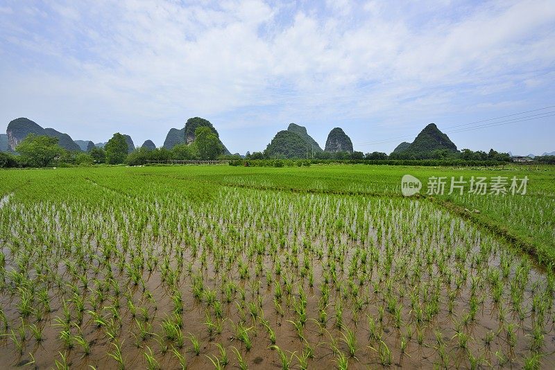 春天的喀斯特山峰和农田