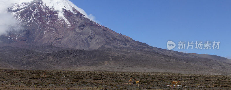 钦博拉索火山