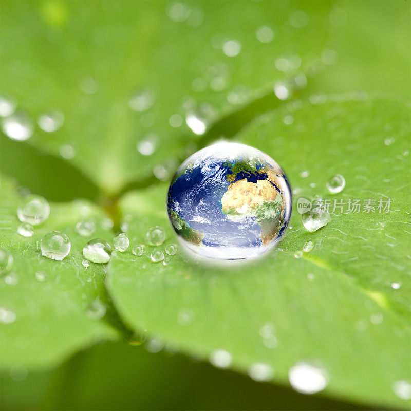 世界地球仪在水滴三叶草上