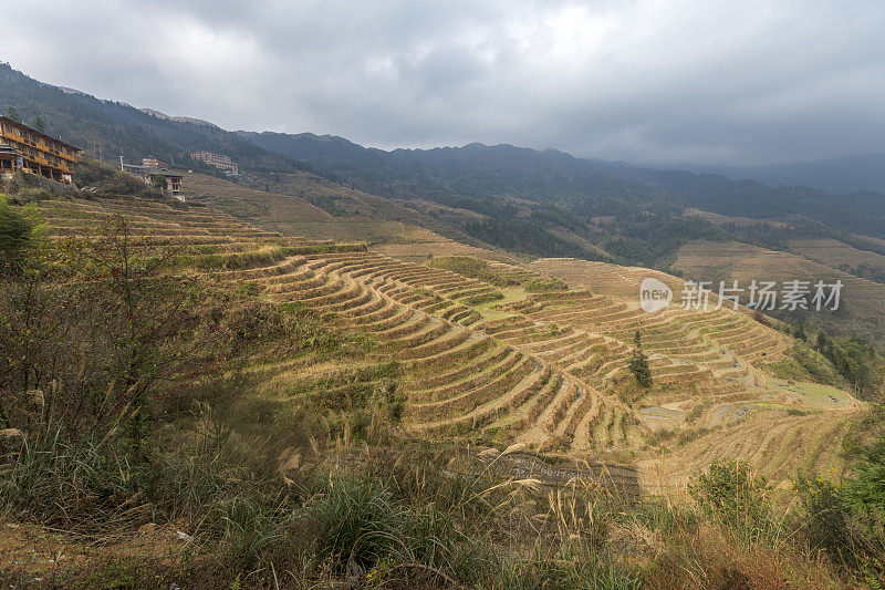 中国龙胜梯田