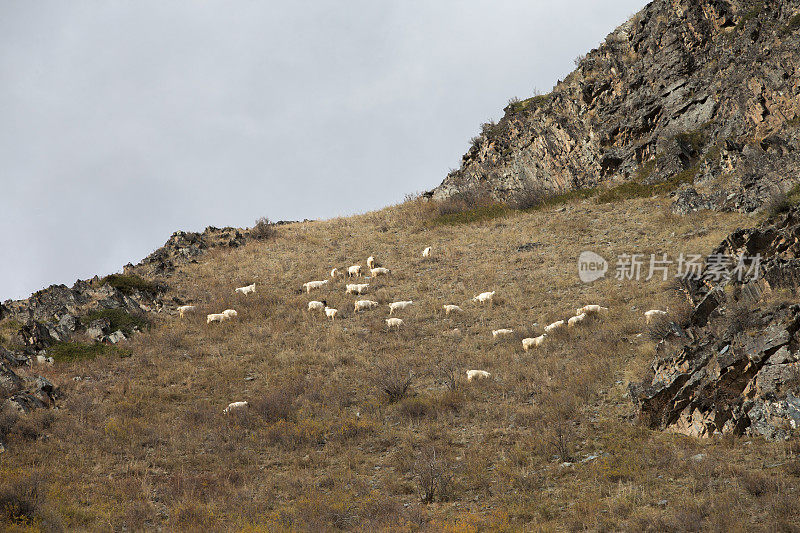 中国新疆喀纳斯山景城