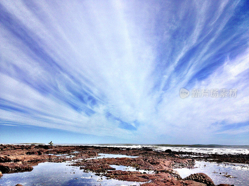 冲浪者向海浪走去