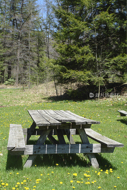 木野餐桌