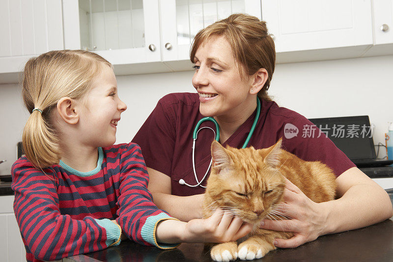 带宠物猫去兽医诊所检查的女孩