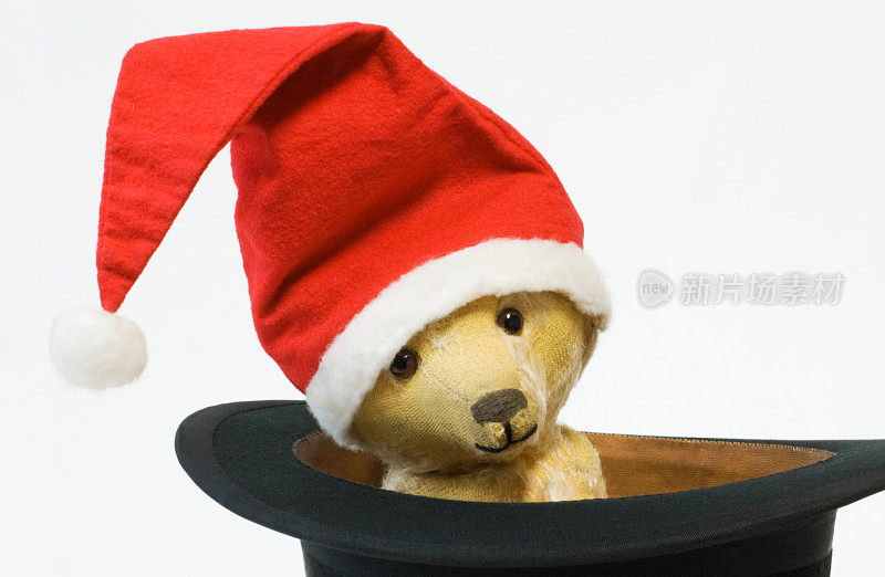 圣诞泰迪熊戴着大礼帽