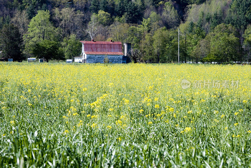 国家风景