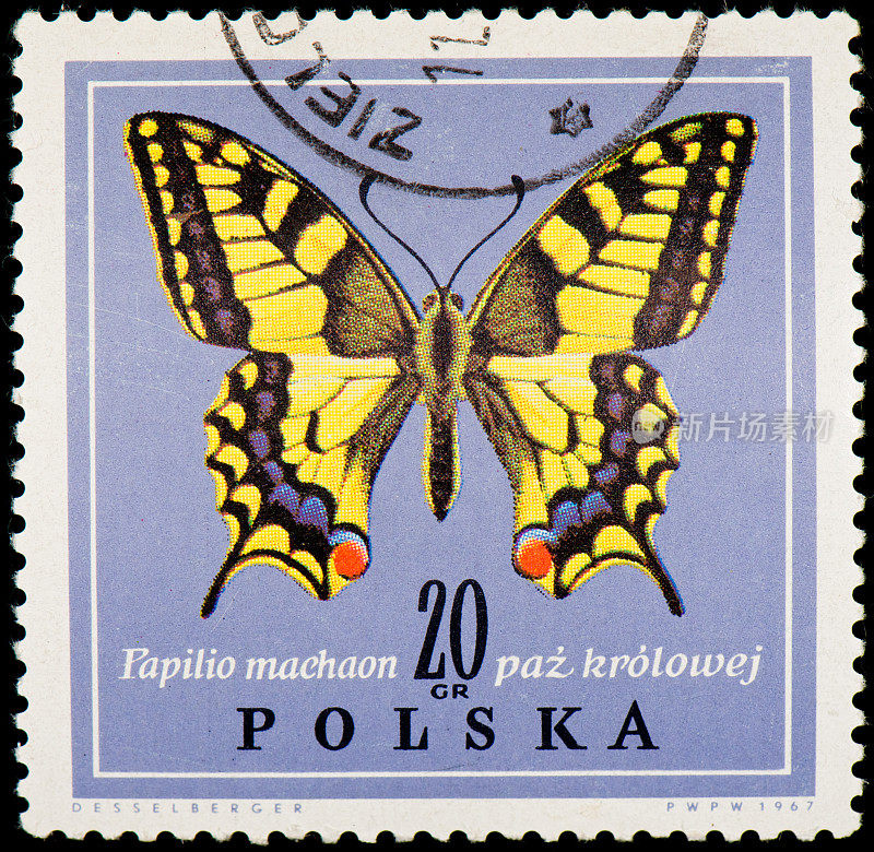 波兰的邮票